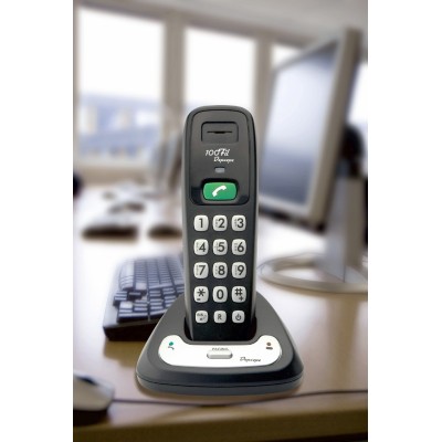 DECT 100 FIL